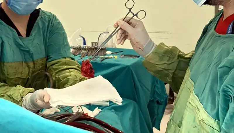 Kalp Kapağı Çürümüş: 7 Saatlik Mucizevi Ameliyatın Ardında Yatan Gerçekler