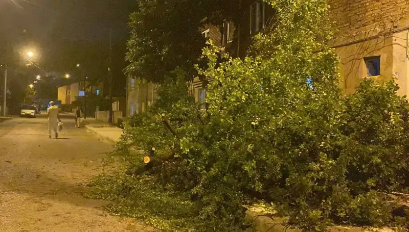 Karabük'te Fırtına Sonrası Hayat Durma Noktasında: Zarar Büyüyor
