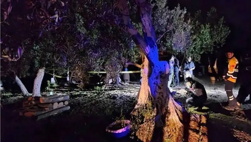 Çiftlikte Baltalı Vahşet: Şoke Eden Olayda İlk Tutuklama Gerçekleşti