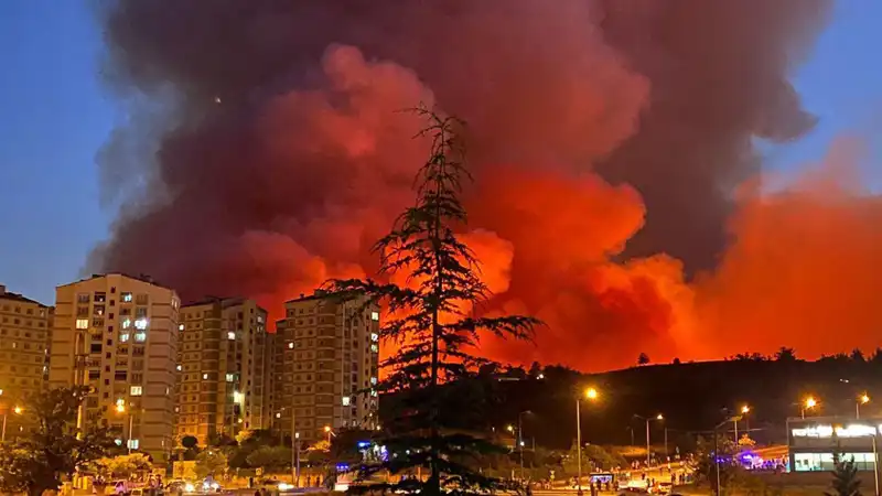 Bursa'da Yangınlar Nehrini Sardı: Şehrin Yüzü Değişiyor