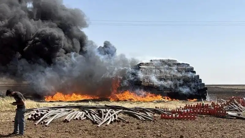 Mardin'de Anız Yangını: Doğa ve Ekonomi Üzerindeki Tehditler