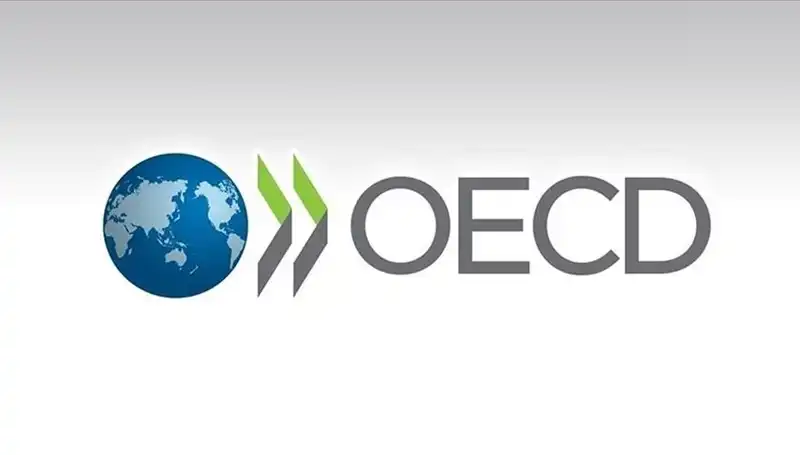 OECD, Türkiye Ekonomisi İçin Büyüme Tahminini Yeniledi: Beklentiler Neler?