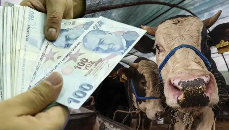 Kurban Bayramı Öncesi Maaş Ödemeleri: Emekli ve Memurları Neler Bekliyor?
