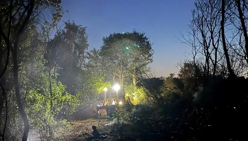 Edirne'deki Orman Yangını: Yangın Kontrol Altına Alındı, Son Durum Ne?