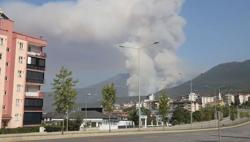 Denizli Orman Yangını: Şüpheli Gözaltına Alındı, Yangının Sebebi Araştırılıyor