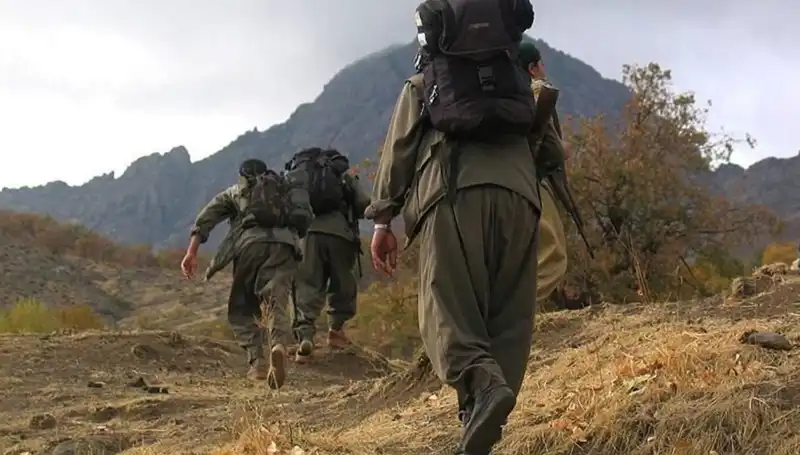 Türkiye'nin Geleceği İçin 48 Saat: Öcalan'ın Kandil'e Mesajı Ne Anlama Geliyor?