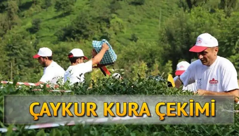 Çaykur Canlı Kura Sayfası: Sonuçları Anında Öğrenmenin Yolu